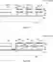 Fig. 07 - BOTTOM-EMITTING MULTIJUNCTION VCSEL ARRAY