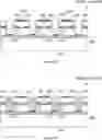 Fig. 11 - BOTTOM-EMITTING MULTIJUNCTION VCSEL ARRAY