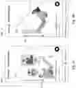 Fig. 06 - Switching multimedia content based on a respective act