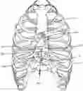 Fig. 01 - Resilient body component contact for a subcutaneous device