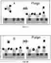 Fig. 03 - Area selective nanoscale-thin layer deposition via precise functional group lithography