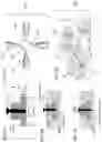 Fig. 03 - VERTICAL-VIA ROTARY VALVES, MICROBIOREACTORS AND APPLICATIONS OF SAME