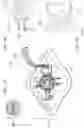 Fig. 18 - VERTICAL-VIA ROTARY VALVES, MICROBIOREACTORS AND APPLICATIONS OF SAME