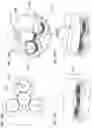 Fig. 22 - VERTICAL-VIA ROTARY VALVES, MICROBIOREACTORS AND APPLICATIONS OF SAME
