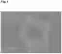 Fig. 02 - AGGREGATED BORON NITRIDE PARTICLES AND METHOD FOR PRODUCING SAME