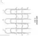 Fig. 06 - STENT WITH ANTI-MIGRATION FEATURE