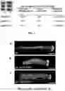 Fig. 02 - Methods for Reproducing Plants Asexually and Compositions Thereof