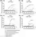Fig. 28 - Antibodies binding to CD30 and CD3