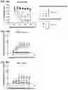 Fig. 33 - Antibodies binding to CD30 and CD3