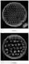 Fig. 05 - -mediated genetic transformation method for sea barleygrass