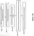 Fig. 24 - Intravascular Pressure and Flow Data Diagnostic Systems, Devices, and Methods
