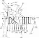 Fig. 01 - Phenotyping device, method and system for measuring phenotypic traits of one or more plants in a target canopy