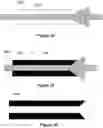 Fig. 15 - Stent and stent delivery device