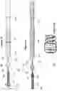 Fig. 19 - Stent and stent delivery device