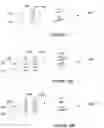 Fig. 08 - Queue identification