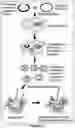 Fig. 09 - PHARMACEUTICAL COMPOSITIONS AND USE THEREOF
