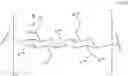 Fig. 80 - HYDROGEL COMPOSITIONS AND USES THEREOF