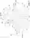 Fig. 08 - Lashing device