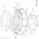 Fig. 06 - INTRAOCULAR LENS DEVICE AND RELATED METHODS