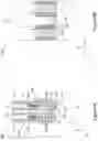 Fig. 34 - Transistor including downward extending silicide