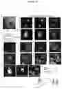 Fig. 22 - GENE THERAPY