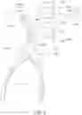 Fig. 07 - IMAGING SPECULUM FOR OTOLOGY