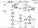 Fig. 01 - miRNA-193a for Promoting Immunogenic Cell Death
