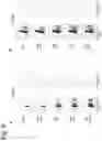 Fig. 09 - miRNA-193a for Promoting Immunogenic Cell Death