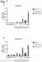 Fig. 11 - miRNA-193a for Promoting Immunogenic Cell Death