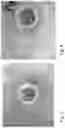 Fig. 04 - Antimicrobial and/or epithelial cell growth stimulating substance and composition and tissue dressing material