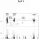 Fig. 06 - ARTIFICIAL INTELLIGENCE APPARATUS AND METHOD FOR CONTROLLING THE SAME