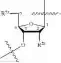 Fig. 04 - COMPOSITIONS AND METHODS FOR PHOSPHORAMIDITE AND OLIGONUCLEOTIDE SYNTHESIS