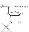 Fig. 14 - COMPOSITIONS AND METHODS FOR PHOSPHORAMIDITE AND OLIGONUCLEOTIDE SYNTHESIS