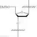 Fig. 17 - COMPOSITIONS AND METHODS FOR PHOSPHORAMIDITE AND OLIGONUCLEOTIDE SYNTHESIS