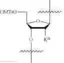Fig. 18 - COMPOSITIONS AND METHODS FOR PHOSPHORAMIDITE AND OLIGONUCLEOTIDE SYNTHESIS