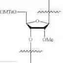 Fig. 19 - COMPOSITIONS AND METHODS FOR PHOSPHORAMIDITE AND OLIGONUCLEOTIDE SYNTHESIS