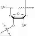 Fig. 99 - COMPOSITIONS AND METHODS FOR PHOSPHORAMIDITE AND OLIGONUCLEOTIDE SYNTHESIS
