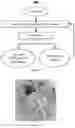 Fig. 03 - Method for composite delamination