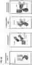 Fig. 02 - CD80 VARIANT IMMUNOMODULATORY PROTEINS AND USES THEREOF