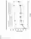 Fig. 06 - AN ANTITHROMBIC MOLECULE HAVING APAC ACTIVITY FOR THE PREVENTION AND/OR TREATMENT OF THROMBOCYTOPENIA