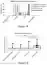 Fig. 02 - TARGETING ABCB5 IN GLIOBLASTOMA MULTIFORME