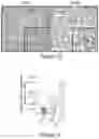 Fig. 04 - TARGETING ABCB5 IN GLIOBLASTOMA MULTIFORME