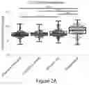 Fig. 06 - TARGETING ABCB5 IN GLIOBLASTOMA MULTIFORME