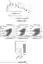 Fig. 08 - TARGETING ABCB5 IN GLIOBLASTOMA MULTIFORME