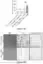 Fig. 12 - TARGETING ABCB5 IN GLIOBLASTOMA MULTIFORME