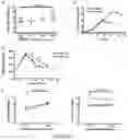 Fig. 03 - Activation and Expansion of T Cell Subsets Using Biocompatible Solid Substrates with Tunable Rigidity