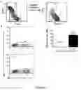 Fig. 06 - Activation and Expansion of T Cell Subsets Using Biocompatible Solid Substrates with Tunable Rigidity