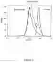 Fig. 10 - Activation and Expansion of T Cell Subsets Using Biocompatible Solid Substrates with Tunable Rigidity