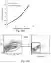Fig. 11 - Activation and Expansion of T Cell Subsets Using Biocompatible Solid Substrates with Tunable Rigidity