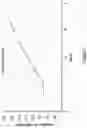 Fig. 02 - COMPOSITION